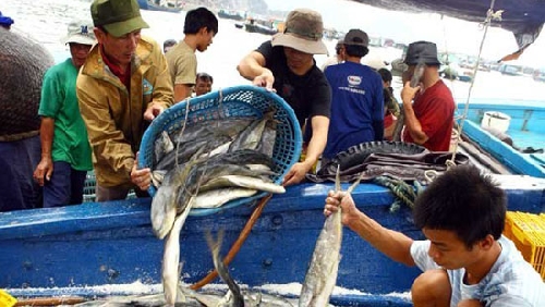 Tạm cấp gần 6 tỷ đồng hỗ trợ cho ngư dân các xã ven biển huyện Phú Vang