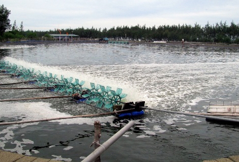 Đồng ý chủ trương hỗ trợ hóa chất để xử lý dịch bệnh trong nuôi trồng thủy sản tại tỉnh Thừa Thiên Huế