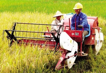 Nhiều chính sách khuyến khích phát triển sản xuất nông nghiệp Thừa Thiên Huế giai đoạn 2016-2020 