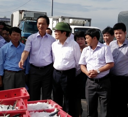 Nguyên Chủ tịch nước Trương Tấn Sang thăm Cảng Cá Thừa Thiên Huế.