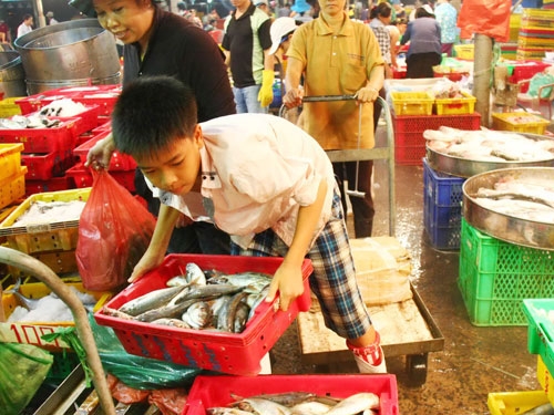 Kế hoạch Phòng ngừa, giảm thiểu lao động trẻ em tỉnh Thừa Thiên Huế giai đoạn 2016 – 2020