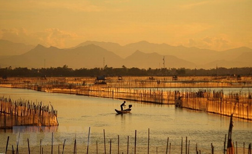 Công bố thành lập khu bảo tồn đất ngập nước Tam Giang – Cầu Hai,