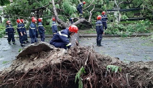 Thừa Thiên Huế ước tính thiệt hại khoảng 505 tỷ đồng do bão số 5