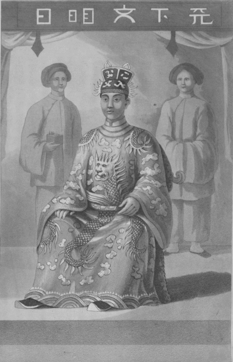Phải chăng vua Minh Mạng giết vợ con hoàng tử Cảnh?
