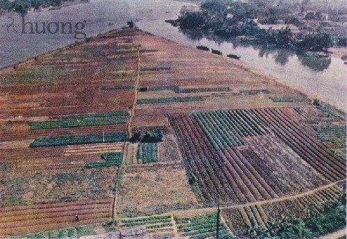 Thơ Sông Hương 05&6-1993