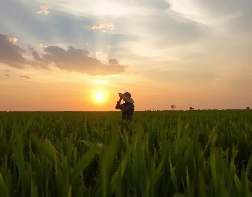 Chùm thơ Lệ Hằng