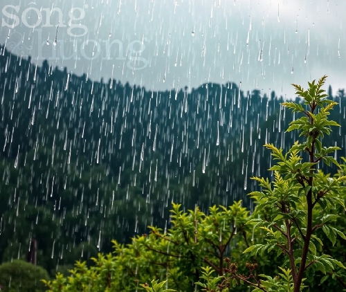 Chùm thơ Ngô Đức Hành