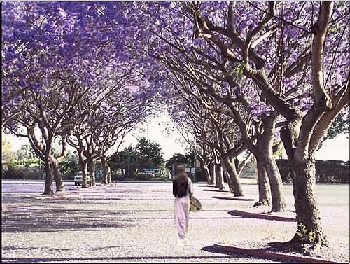 Chùm thơ Nguyễn Đại Bường