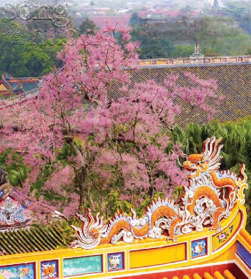 Thơ Sông Hương 05-2025