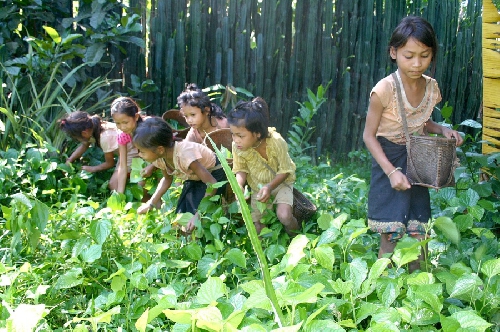 Chùm thơ Nguyễn Đức Bá