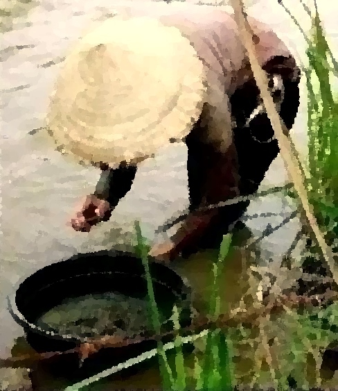 Chùm thơ Nguyễn Trọng Lĩnh