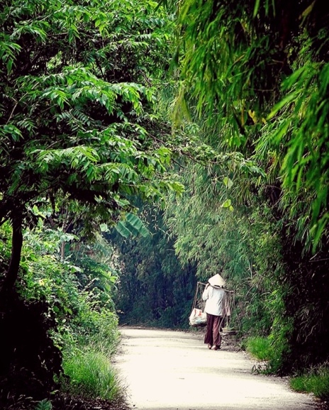 Bài thơ dâng mẹ