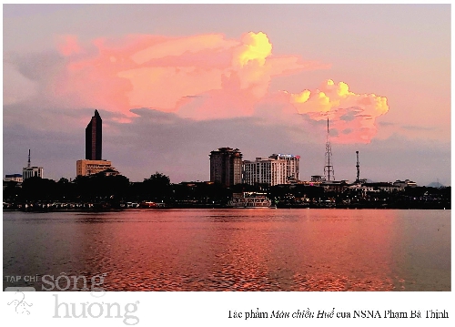 Cơn mưa Tím