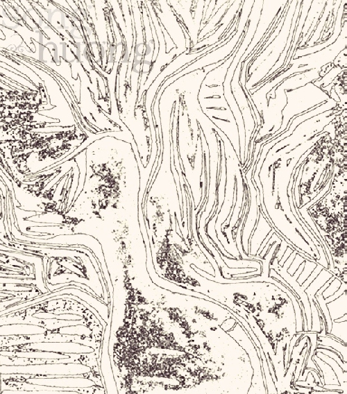 Chùm thơ Nguyễn Đức Phú Thọ