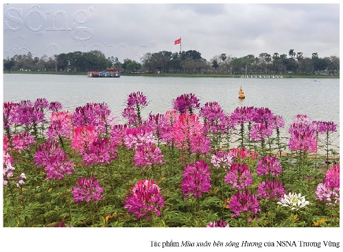 Trang thơ Thiếu nhi xuân Bính Ngọ