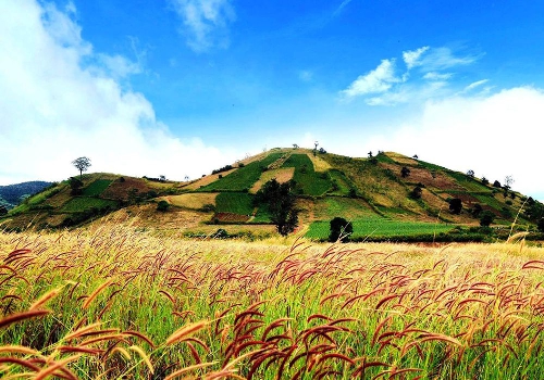 Chùm thơ Ngô Thanh Vân