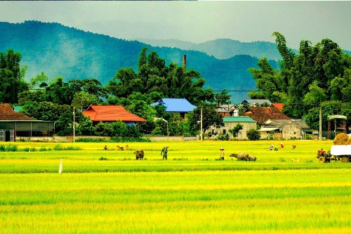 Âm vang Điện Biên