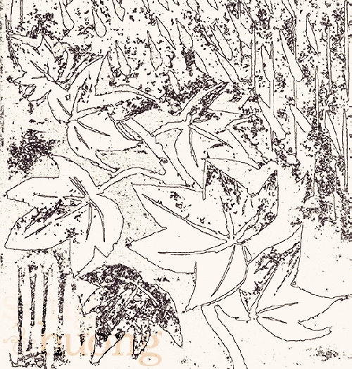 Chùm thơ Duyên An