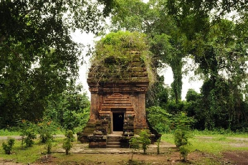 Nỗi buồn Yang Prông